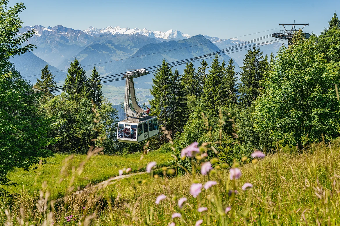 Rigi Bahnen, Switzerland, Image 1