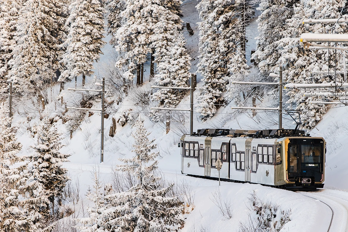 Rigi Bahnen, Switzerland, Image 5