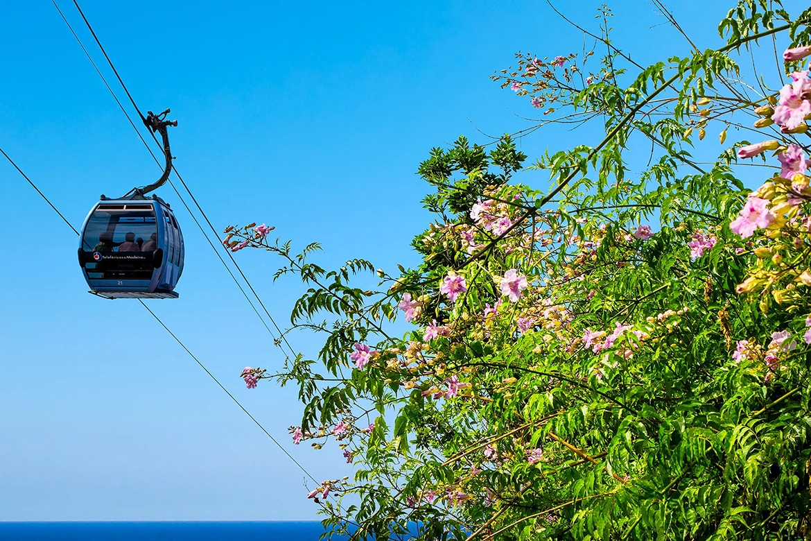 Teleféricos da Madeira, Portugal, Image 1